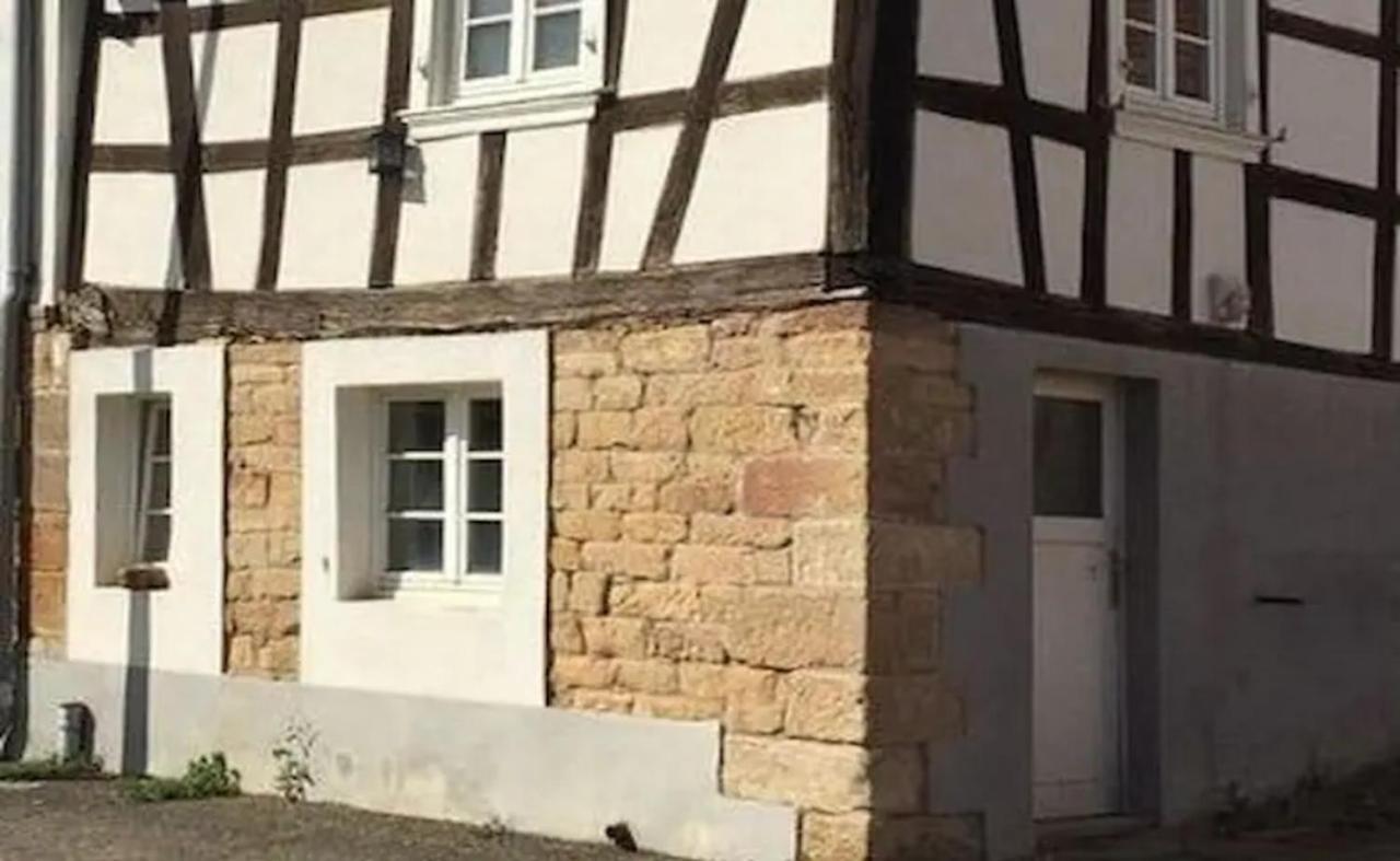 Petit Studio Pour Une Personne A Lobsann Kültér fotó